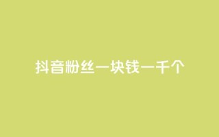 抖音粉丝一块钱一千个 - 抖音粉丝仅需一元获取千人关注秘诀揭秘!