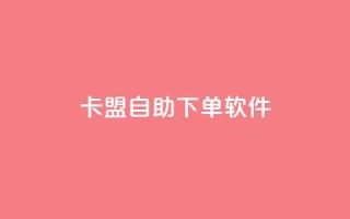 卡盟自助下单软件 - 提升业务效率!卡盟自助下单软件让您轻松逐梦~