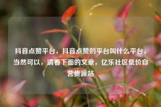 抖音点赞平台,抖音点赞的平台叫什么平台,当然可以,请看下面的文章,亿乐社区低价自营货源站