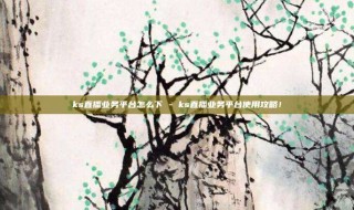 ks直播业务平台怎么下 - ks直播业务平台使用攻略!