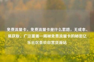 免费流量卡,免费流量卡是什么套路,无成本、易获取、广泛覆盖—揭秘免费流量卡的秘密亿乐社区低价自营货源站