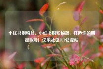 小红书刷粉丝,小红书刷粉秘籍,打造你的明星账号!亿乐社区SUP货源站
