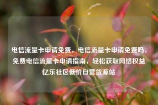 电信流量卡申请免费,电信流量卡申请免费吗,免费电信流量卡申请指南,轻松获取网络权益亿乐社区低价自营货源站