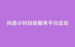 抖音24小时自助服务平台总站 - 抖音全天候自助服务平台一站式解决方案!