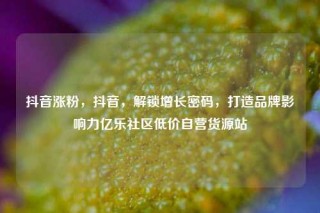 抖音涨粉,抖音,解锁增长密码,打造品牌影响力亿乐社区低价自营货源站