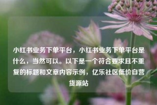 小红书业务下单平台,小红书业务下单平台是什么,当然可以。以下是一个符合要求且不重复的标题和文章内容示例,亿乐社区低价自营货源站