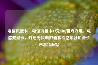 电信流量卡,电信流量卡19元200g官方办理,电信流量卡,开启无限畅游新旅程亿乐社区低价自营货源站
