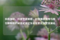 抖音涨粉,抖音营销策略,打造爆款视频与吸引新粉丝的秘密武器亿乐社区低价自营货源站