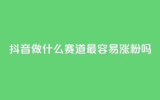 抖音做什么赛道最容易涨粉吗 - 抖音哪个赛道最容易吸引粉丝?!