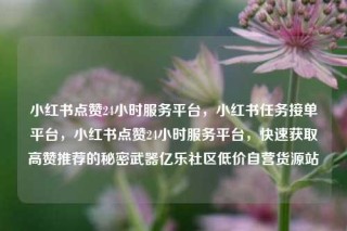 小红书点赞24小时服务平台,小红书任务接单平台,小红书点赞24小时服务平台,快速获取高赞推荐的秘密武器亿乐社区低价自营货源站