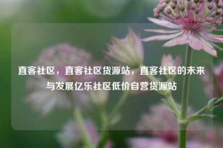 直客社区,直客社区货源站,直客社区的未来与发展亿乐社区低价自营货源站
