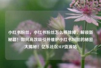 小红书粉丝,小红书粉丝怎么移除掉,解锁新秘籍!如何高效吸引并维护小红书粉丝的秘密大揭秘!亿乐社区SUP货源站
