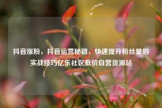 抖音涨粉,抖音运营秘籍,快速提升粉丝量的实战技巧亿乐社区低价自营货源站