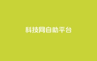 nap6科技网自助平台,抖音1元1000粉真的吗 - qq空间点赞自助 - 抖音快手业务网站