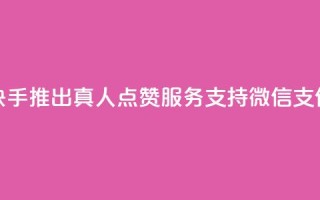 快手推出真人点赞服务支持微信支付