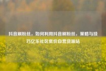 抖音刷粉丝，如何利用抖音刷粉丝，策略与技巧亿乐社区低价自营货源站