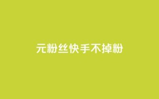 1元3000粉丝快手不掉粉 - 1元在快手增加3000粉丝,轻松不流失!
