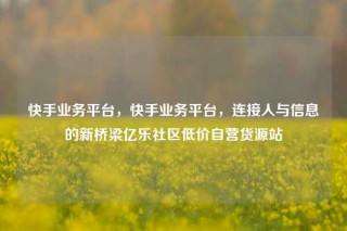 快手业务平台,快手业务平台,连接人与信息的新桥梁亿乐社区低价自营货源站