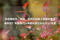 抖音刷粉丝,揭秘,如何在抖音上快速积累大量粉丝?实用技巧与策略分享亿乐社区SUP货源站