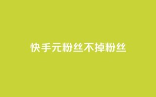快手1元3000粉丝不掉粉丝 - 快手1元获取3000粉丝确保不掉粉!