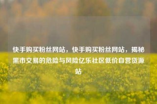 快手购买粉丝网站,快手购买粉丝网站,揭秘黑市交易的危险与风险亿乐社区低价自营货源站