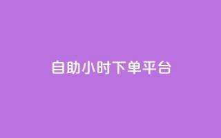 dy自助24小时下单平台 - 24小时下单平台-让您省时省力!