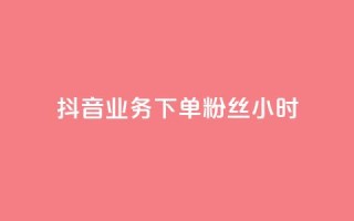 抖音业务下单粉丝24小时 - 24小时快速下单抖音粉丝服务!