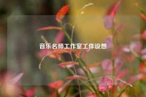 音乐名师工作室工作设想