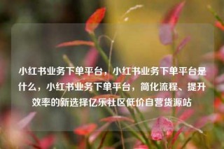 小红书业务下单平台,小红书业务下单平台是什么,小红书业务下单平台,简化流程、提升效率的新选择亿乐社区低价自营货源站