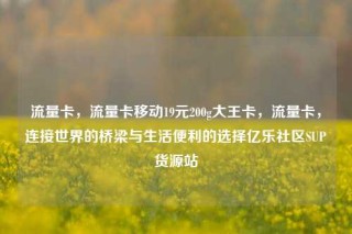 流量卡,流量卡移动19元200g大王卡,流量卡,连接世界的桥梁与生活便利的选择亿乐社区SUP货源站