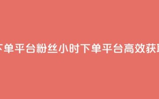 dy24小时下单平台粉丝(dy24小时下单平台,高效获取粉丝)