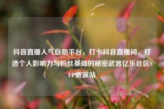 抖音直播人气自助平台,打卡抖音直播间,打造个人影响力与粉丝基础的秘密武器亿乐社区SUP货源站