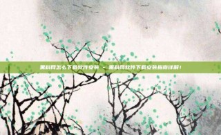 黑科网怎么下载软件安装 - 黑科网软件下载安装指南详解!
