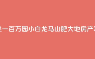 快手粉丝一百万0.01园小白龙马山肥大地房产装修网站,抖音评论放单 - 快手免费获赞一元一百 - 抖音收藏自助平台