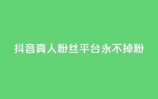 抖音真人粉丝平台 永不掉粉 - 抖音真人粉丝长期稳定平台!