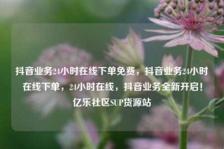 抖音业务24小时在线下单免费,抖音业务24小时在线下单,24小时在线,抖音业务全新开启!亿乐社区SUP货源站