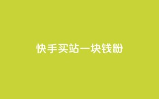 快手买站一块钱1000粉 - 快手一元购站轻松获千粉丝的方法揭秘!