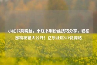 小红书刷粉丝,小红书刷粉丝技巧分享,轻松涨粉秘籍大公开!亿乐社区SUP货源站