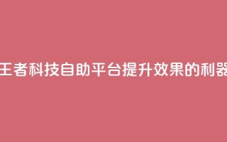 王者科技自助平台:提升SEO效果的利器