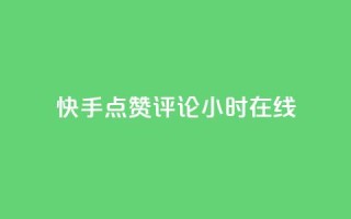 快手点赞评论24小时在线 - 快手实现24小时点赞评论在线功能!