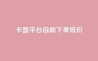 卡盟平台自助下单低价 - 自助下单低价卡盟平台助你轻松购卡!