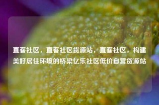 直客社区,直客社区货源站,直客社区,构建美好居住环境的桥梁亿乐社区低价自营货源站