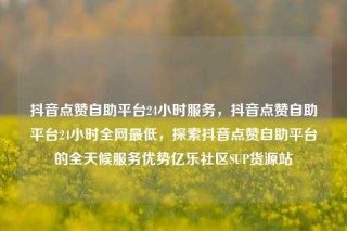 抖音点赞自助平台24小时服务,抖音点赞自助平台24小时全网最低,探索抖音点赞自助平台的全天候服务优势亿乐社区SUP货源站