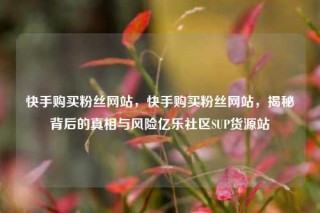 快手购买粉丝网站,快手购买粉丝网站,揭秘背后的真相与风险亿乐社区SUP货源站