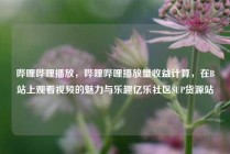 哔哩哔哩播放,哔哩哔哩播放量收益计算,在B站上观看视频的魅力与乐趣亿乐社区SUP货源站