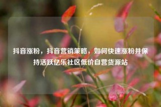 抖音涨粉,抖音营销策略,如何快速涨粉并保持活跃亿乐社区低价自营货源站