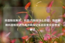 抖音粉丝购买,抖音2万粉丝什么价位,如何利用抖音粉丝进行高效购买亿乐社区低价自营货源站