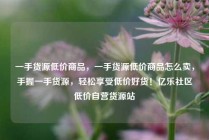 一手货源低价商品,一手货源低价商品怎么卖,手握一手货源,轻松享受低价好货!亿乐社区低价自营货源站