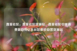 直客社区,直客社区货源站,直客社区引领消费新趋势亿乐社区低价自营货源站