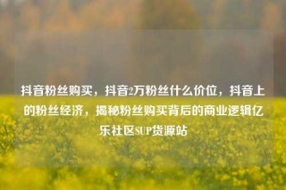抖音粉丝购买,抖音2万粉丝什么价位,抖音上的粉丝经济,揭秘粉丝购买背后的商业逻辑亿乐社区SUP货源站